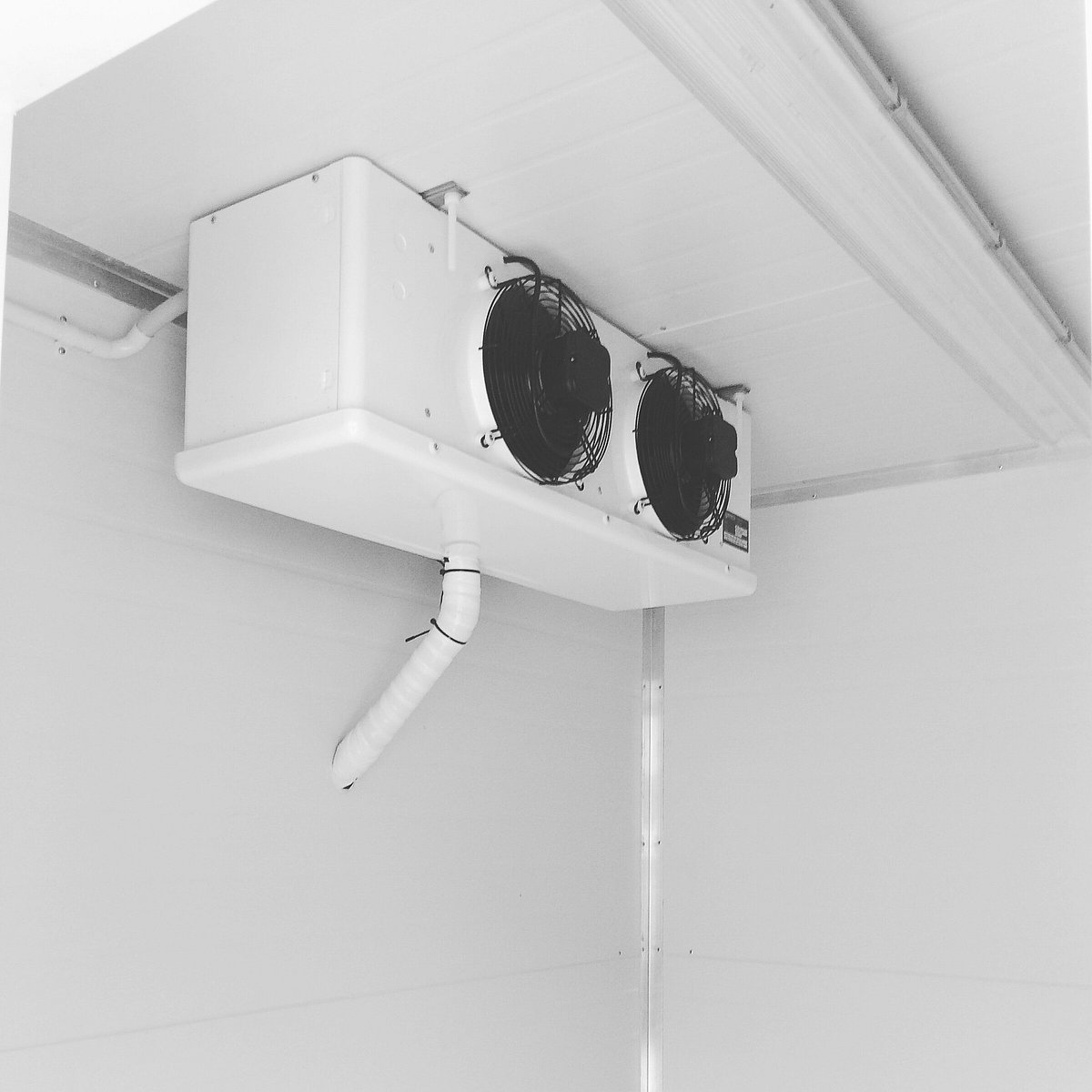 Custom-built commercial coolroom with evaporator system for Waikato hospitality business